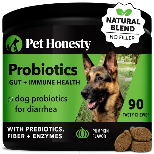 Pet Honesty Probiotics Gut + Immune Health Pumpkin Flavor for Dogs