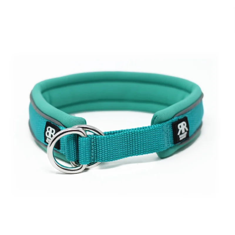 3cm Slip on Collar | Foam Padded - Turquoise