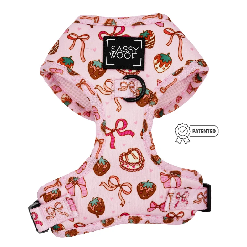 Dog Adjustable Harness - Sweet Treats