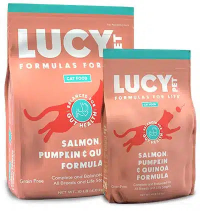 Lucy Pet Salmon, Pumpkin, and Quinoa Grain-Free Formula Dry Cat Food