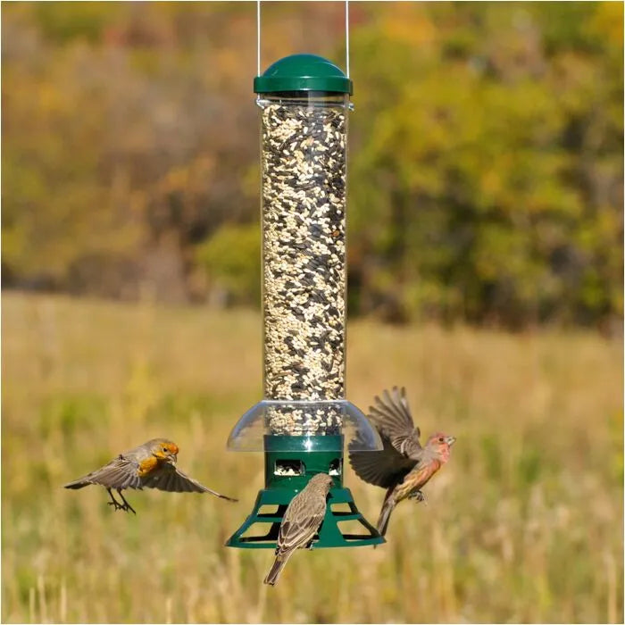 PERKY PET SQUIRREL SLAMMER BIRD FEEDER