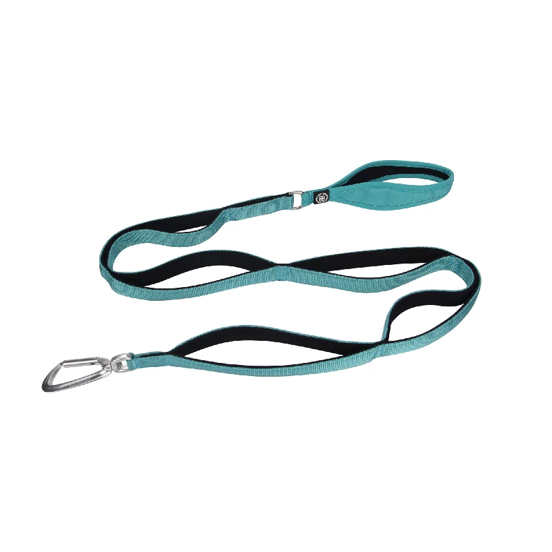 Ladder Lead - Multiple Handles - Teal