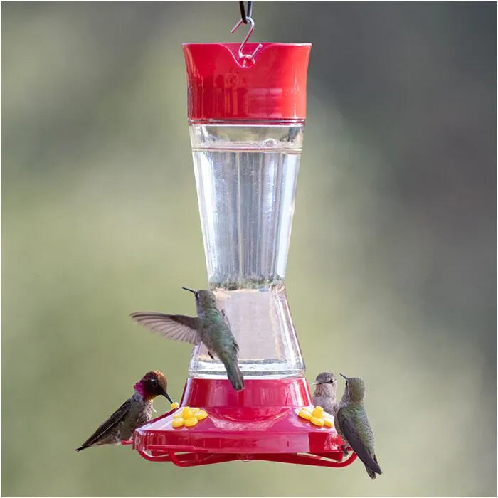 PERKY PET PINCH WAIST 12oz GLASS HUMMINGBIRD FEEDER