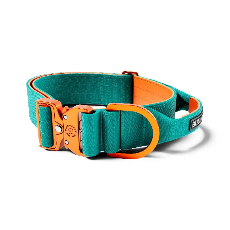 5cm Lighter Combat® Collar | With Handle Secure Clip - Turquoise x Orange