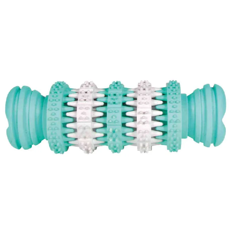 Rubber Denta Fun Bone Mint